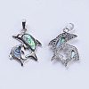 Abalone Shell/Paua Shell Pendants X-SSHEL-L008-11P-3