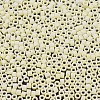 MIYUKI Delica Beads SEED-J020-DB1521-3