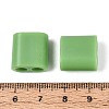 ABS Plastic Beads OACR-N156-07H-3