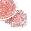 FGB Transparent Glass Seed Beads SEED-N013-01C-04-1