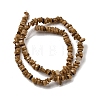 Natural Freshwater Shell Beads SHEL-B003-01D-2