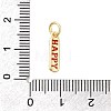 Brass Enamel Charms KK-P338-01G-G02-3