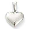 304 Stainless Steel Pendants LS-STAS-P278-01T-P-2