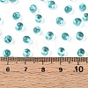 3/0 Baking Paint Glass Fringe Seed Beads SEED-A034-04H-4