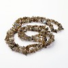 Natural Labradorite Chips Beads Strands LS-F069-4