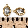 Ion Plating(IP) 304 Stainless Steel Micro Pave Cubic Zirconia Charms STAS-K256-19G-03-3