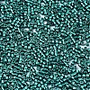 FGB 11/0 Grade A Glass Seed Beads X-SEED-S030-1216-2