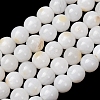 Natural Freshwater Shell Beads Strands SH-CBA2978-07D-04-1