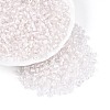 Glass Seed Beads SEED-T007-10B-2