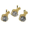 Natural Labradorite Ball with Leopard Shape Brass Pendants KK-F887-04G-24-1