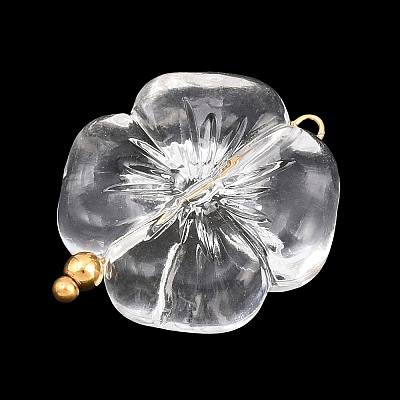 Transparent Acrylic & Stainless Steel Pendants TACR-G051-01G-02-1