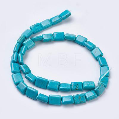 Natural Magnesite Beads Strands TURQ-K003-12C-1