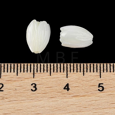 Natural Trochus Shell Flower Beads BSHE-G036-07-1