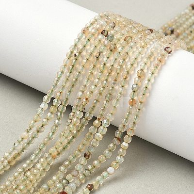 Natural Agate Beads Strands G-H302-A04-04-1
