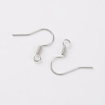Iron Earring Hooks X-E133-S-1