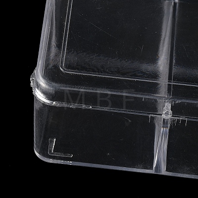 10 Grids Plastic Bead Containers with Cover CON-K002-03E-1