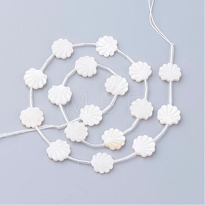 Natural White Shell Beads SSHEL-Q298-06-1