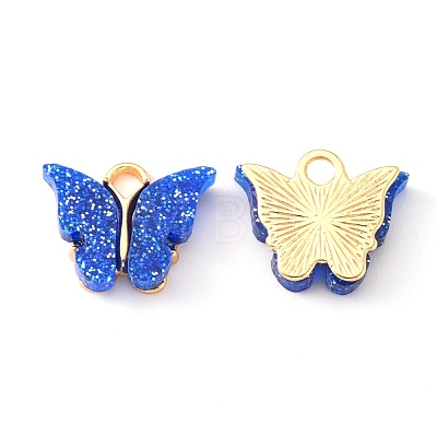 Alloy Enamel Pendants with Glitter Powder and Zinc Alloy Hanging Plating ENAM-R056-01F-1