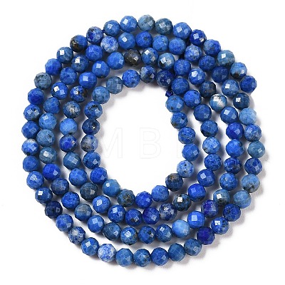 Natural Lapis Lazuli Beads Strands G-L587-A03-02-1