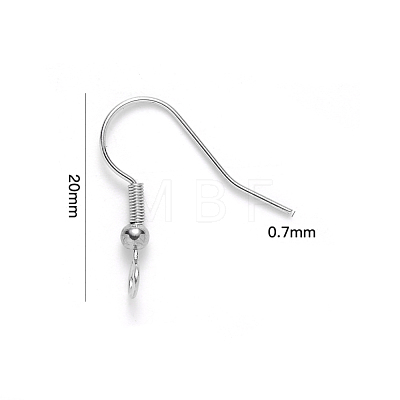 304 Stainless Steel Earring Hooks STAS-S111-003-1