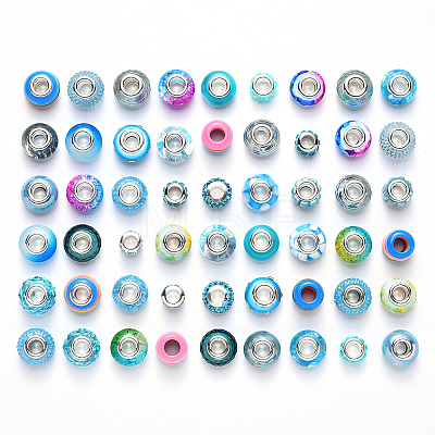 Acrylic & Resin & Polymer Clay Rhinestone European Beads FPDL-NB0001-02B-1