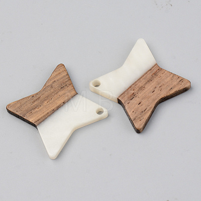 Opaque Resin & Walnut Wood Pendants RESI-S389-011A-C04-1
