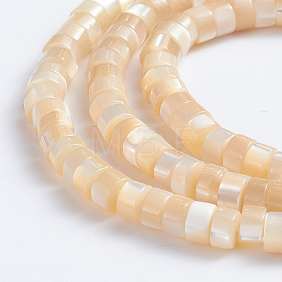 Natural Trochid Shell/Trochus Shell Beads Strands SSHEL-L016-13-1
