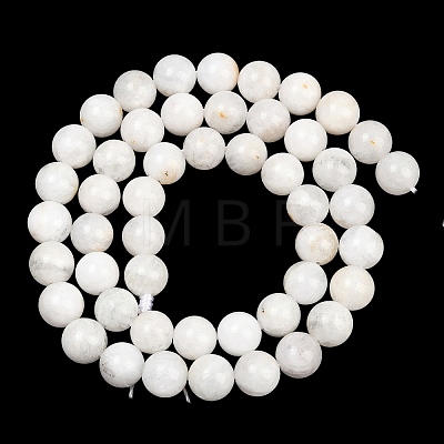 Round Grade A Natural Rainbow Moonstone Bead Strands G-M304-06-8.5mm-1