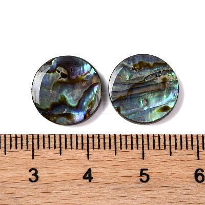 Natural Paua Shell Epoxy Resin Cabochons SSHEL-S279-01A-1