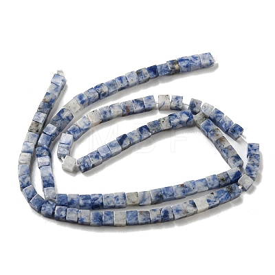 Natural Blue Spot Jasper Beads Strands G-C129-A03-01-1