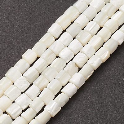 Natural Sea Shell Column Bead Strands SSHEL-M014-22-A-1