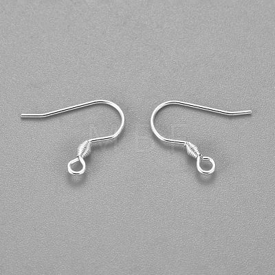 304 Stainless Steel Earring Hooks X-STAS-H436-04S-1