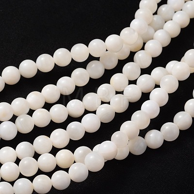 Natural Shell Beads Strands X-PRB001Y-1