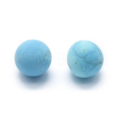 Dyed & Heated Natural Howlite Beads G-F678-27A-1