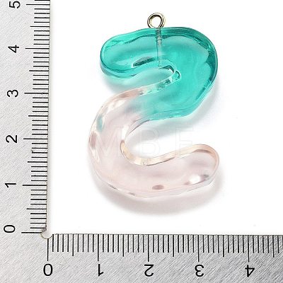 Resin Pendant FIND-Q107-01S-02-1