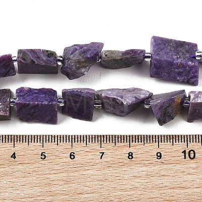 Natural Charoite Beads Strands G-D101-B17-1