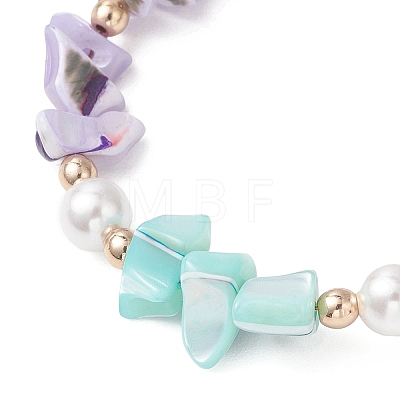 Dyed Natural Trochid Shell/Trochus Shell Chips Beaded Bracelets for Women BJEW-JB13130-01-1