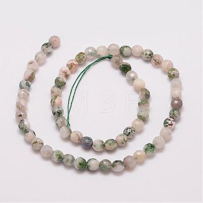 Natural Tree Agate Bead Strands G-G882-6mm-E02-1