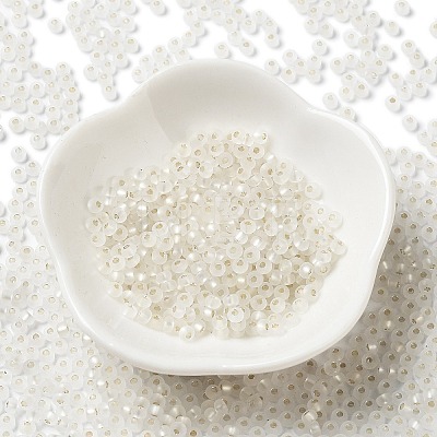 8/0 Glass Seed Beads X-SEED-Z001-C-E08-1