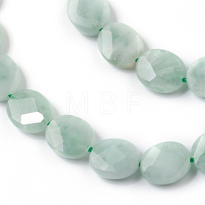 Natural Glass Beads Strands G-I271-B08-8x10mm-1