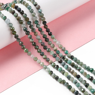 Natural Emerald Quartz Beads Strands G-F717-12-1