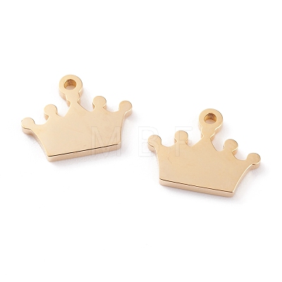 Ion Plating(IP) 304 Stainless Steel Charms STAS-Y002-10G-1