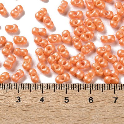 Glass Seed Beads SEED-L011-04A-04-1