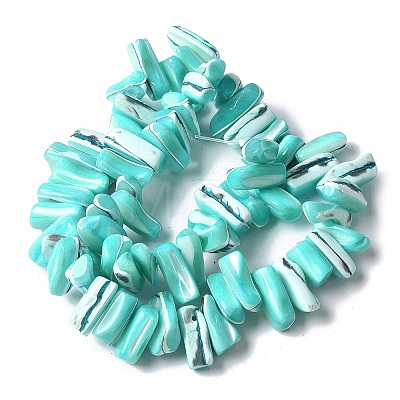 Dyed Natural Trochus Shell Beads Strands SSHEL-C013-09M-1