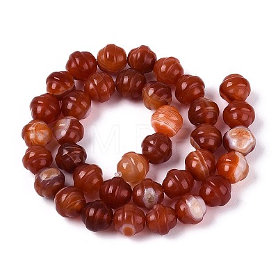 Dyed Natural Agate Beads Strands G-T144-27C-1