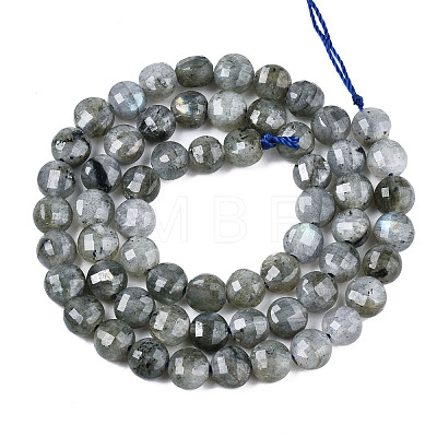 Natural Labradorite Beads Strands G-S354-24-A-1