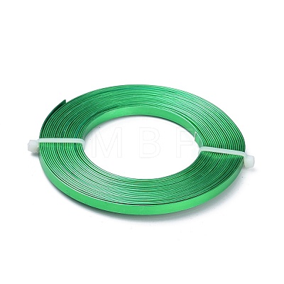 Flat Jewelry Craft Wire Aluminum Wire for Bezel AW-XCP0002-06-1
