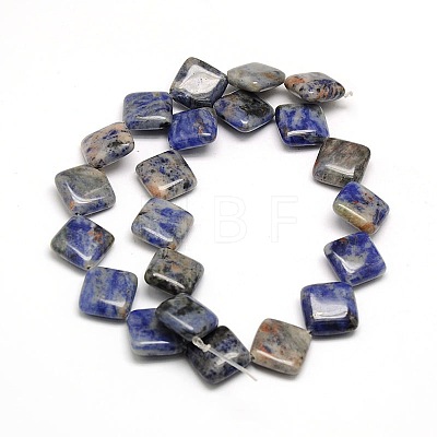 Natural Rhombus Sodalite Beads Strands G-L254-07-1