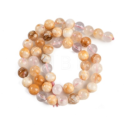 Natural Cherry Blossom Agate Beads Strands G-H062-A02-02-1