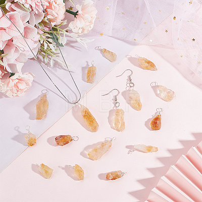 16Pcs Rough Raw Natural Citrine Pendants G-FG0001-08-1